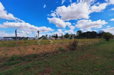 Terreno comercial para alugar no jardim tangará, são carlos  por r$ 6.000