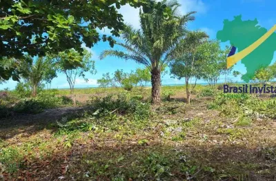 Terreno à venda em Santo Antônio, Santa Cruz Cabrália 