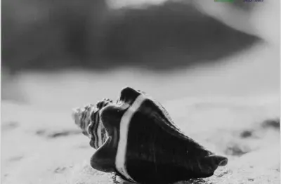 Casa com 4 quartos à venda em Arraial D´Ajuda, Porto Seguro 