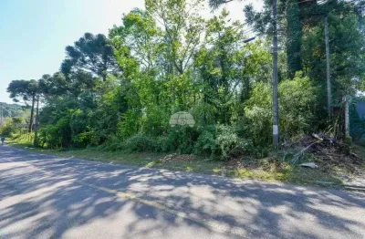 Imóvel para venda com 5525 metros quadrados em Lamenha Grande - Almirante Tamandaré - PR