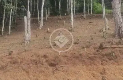 Terreno com 1600m² à venda em albuquerque - r$ 160.000,00 codigo: 73877