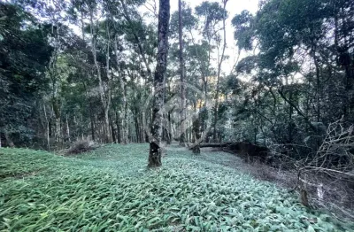 Terreno declive 5025m², alto, teresópolis/rj codigo: 123661