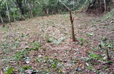 Terreno 5960 metros  com platô, em vargem grande. codigo: 78855