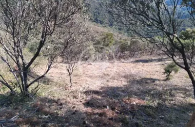 Terreno em condomínio fechado à venda na Rua Alfredo Vargas Rosa, S/N, Itaipava, Petrópolis