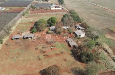 Chácara à venda em marialva, jardim itália, com 1 quarto, com 36300 m²