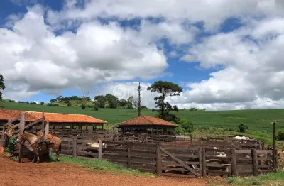 Fazenda à venda em faxinal, zona rural, com 1 quarto, com 9196000 m²