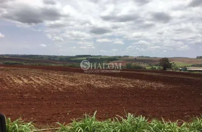 Chácara / sítio à venda na Avenida Centenário, Vila Christino, Maringá