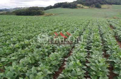 Fazenda à venda em apucarana, parque industrial zona oeste, com 1 quarto, com 2819300 m²