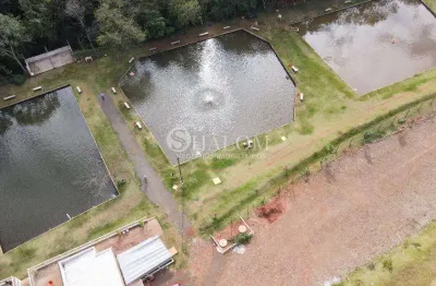 Chácara à venda em iguaraçu, zona rural, com 3 quartos, com 36300 m²