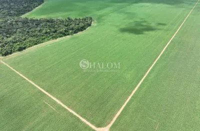 Sítio à venda em lucas do rio verde, centro, com 12 hectares
