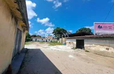 Oportunidade única: terreno de 800m² em avenida de alto fluxo para investimento