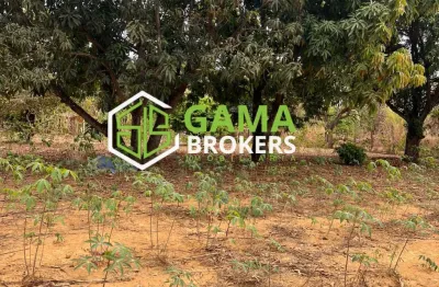 Vendo lote no pedregal novo gama- go situado no vale das andorinhas zona rural, próximo do loteamento do green ville