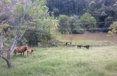 Fazenda à venda no Três Barras, Senador José Bento 