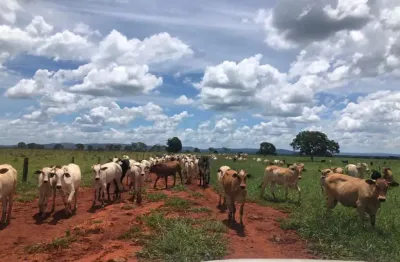 Fazenda à venda na Zona Rural, Paracatu 