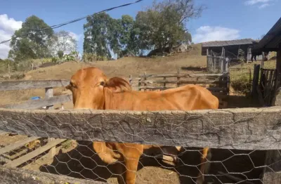 Fazenda à venda na Zona Rural, Caldas 