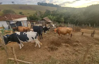 Fazenda à venda na Zona Rural, Caldas 
