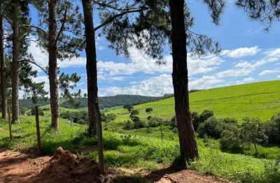 Fazenda à venda na Área Rural de Pouso Alegre, Pouso Alegre 
