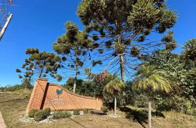 Terreno à venda no Laranjeiras de Caldas, Caldas 