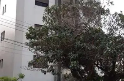 Apartamento com 4 quartos para alugar no Centro, Poços de Caldas 