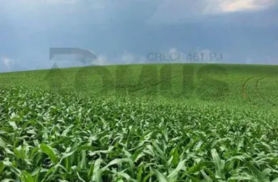 Fazenda para vender no bairro povoado cafufa em coronel joão sá