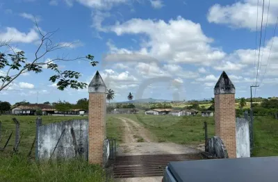 Fazenda à venda na ÁRea Rural Povoado Rio Das Pedras, 1, Marianga, Itabaiana