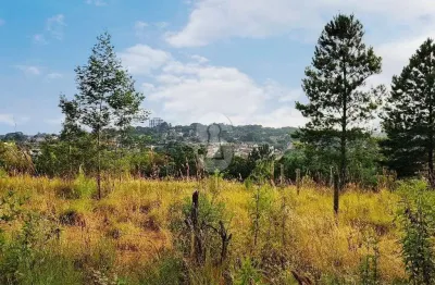Terreno à venda no Campestre, São Leopoldo 
