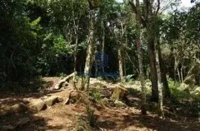 Área à venda, 3000 m² por r$ 950.000 - siriúba - ilhabela/sp