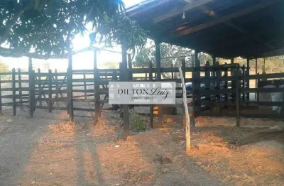 Chácara / sítio com 3 quartos à venda na rua da suzana, 357, centro, aquidabã, 70 m2 por r$ 580.000