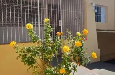 Casa para venda em campinas, bonfim, 3 dormitórios, 2 banheiros, 1 vaga