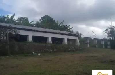 Chácara / sítio com 4 quartos à venda na Zona Rural Itabuna, 9, Área Rural de Itabuna, Itabuna
