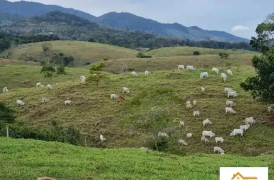 Chácara / sítio com 3 quartos à venda na Zona Rural Coaraci Ba, 1, Centro, Coaraci