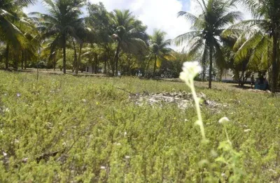 Lote à venda em rua pública, zona de expansão (aruanda), aracaju, se