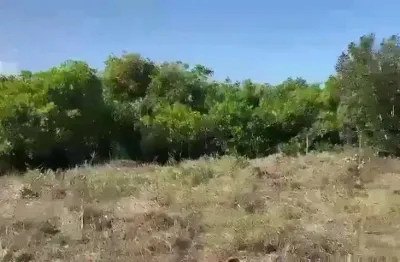 Terreno à venda na Porto De Pedras, Al, 100, Centro, Porto de Pedras