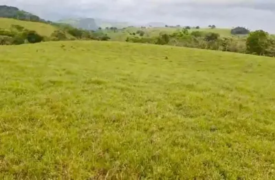 Chácara / sítio à venda na Pindoba, Al, 1, Centro, Pindoba