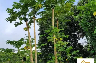 Chácara / sítio com 3 quartos à venda na Maraú, Ba, 1, Zona Tremembé, Maraú