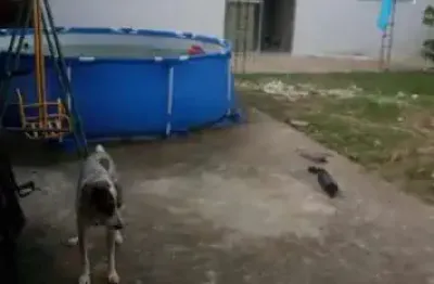 Casa com 3 quartos à venda na Avenida Antônio Cabral de Souza, 1, Jaguarana, Paulista