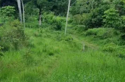 Chácara / sítio com 4 quartos à venda na Rua Samaritana, 154, Agamenon Magalhães, Igarassu