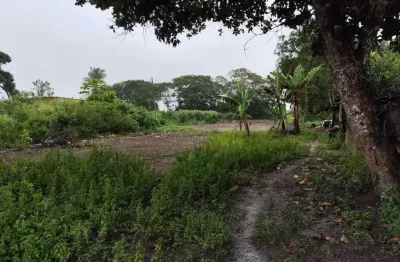 Chácara / sítio com 2 quartos à venda na Povoado Boca Da Mata, 1, Centro, Atalaia