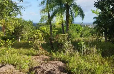 Lote à venda no estrada dos marcos , sítio dos marcos , igarassu, pe