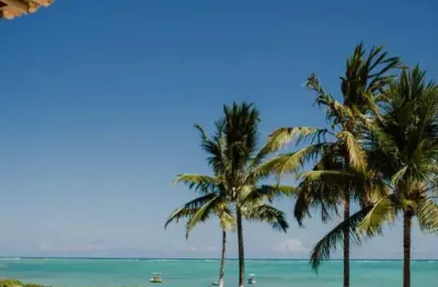 Lote à venda no reserva porangatu, barra de camaragibe, passo de camaragibe, al
