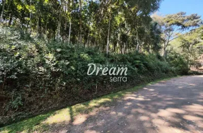 Terreno à venda, 4685 m² por r$ 280.000 - fazenda boa fé - teresópolis/rj