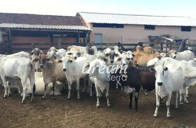 Investidor olha a oportunidade! fazenda de 52 alqueires ativa em araruama/rj