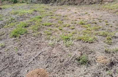 Terreno à venda, 1100 m² por r$ 140.000,00 - providência - teresópolis/rj