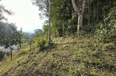 Terreno à venda, 5000 m² por r$ 350.000,00 - albuquerque - teresópolis/rj