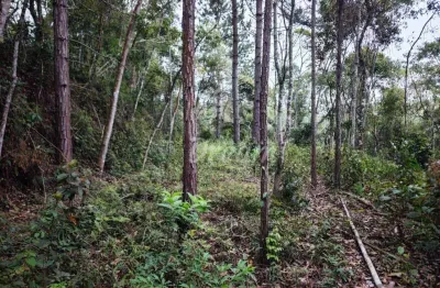 Terreno à venda, 2540 m² por R$ 115.000,00 - Granja Mafra - Teresópolis/RJ