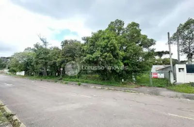 Terreno à venda na Avenida Rio Grande Do Sul, 409, Jardim dos Estados, Piraquara