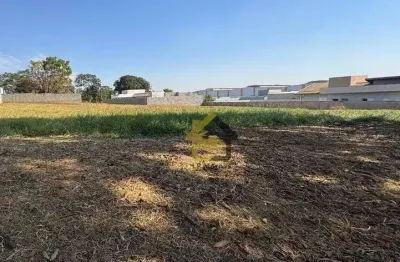 Terreno à venda, 1008 m² por r$ 650.000 - parque dos pinheiros - nova odessa/sp