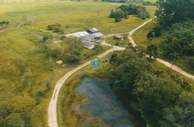 Fazenda à venda na Br 101, s n, Penha, Paulo Lopes
