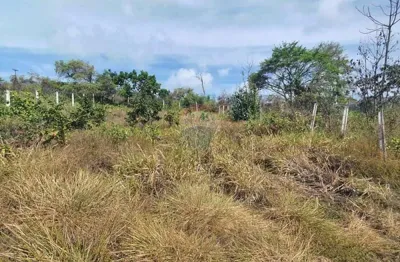 Terreno à venda na Rua Dos Jatobás- Tabatinga 2, S/N, Cidade Balneária Novo Mundo I, Conde