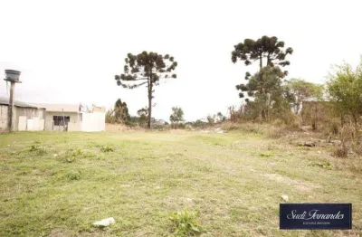 Área à venda, 1794 m² por r$ 420.000,00 - borda do campo - são josé dos pinhais/pr